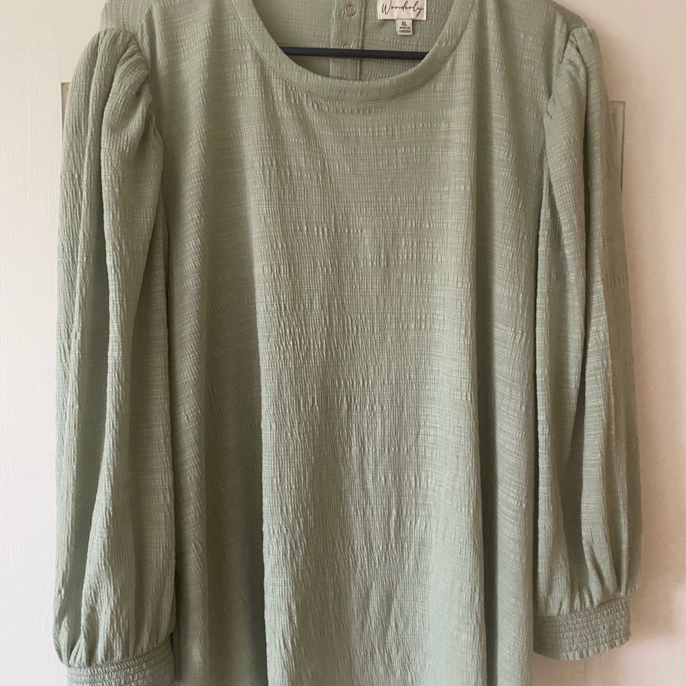 Wonderly Light Green Textured Blouse